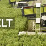 dun-agro-hemp-group-header-hennepteelt_nieuw-1959382246-2