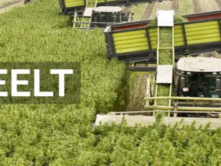 Dun-Agro-Hemp-Group-header-hennepteelt_nieuw-1959382246