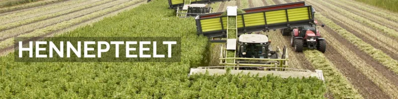 dun-agro-hemp-group-header-hennepteelt_nieuw-1959382246-2